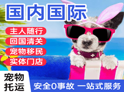 南通兴东机场货运国际宠物托运 【国